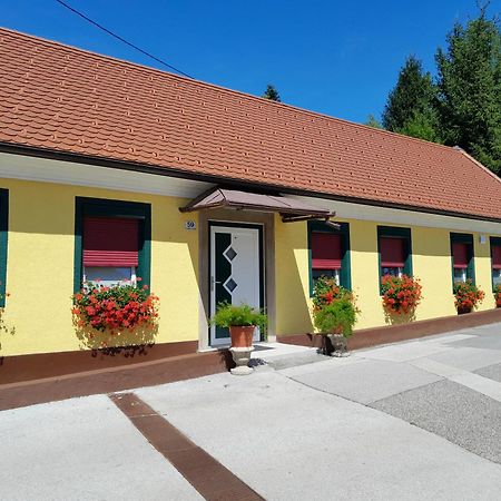 Hotel Pri Belokranjcu Novo Mesto Ngoại thất bức ảnh