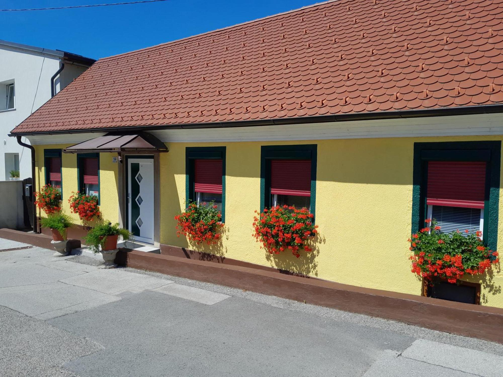 Hotel Pri Belokranjcu Novo Mesto Ngoại thất bức ảnh